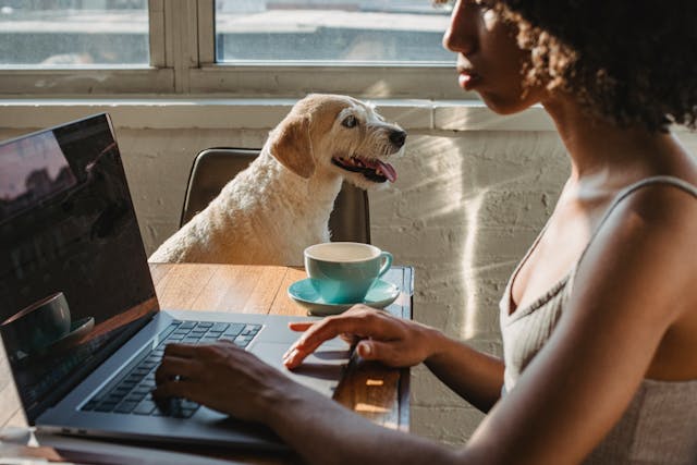 Business Automation Kenya: What SMEs Should Automate Before Hiring Staff 1 business automation Kenya for SMEs