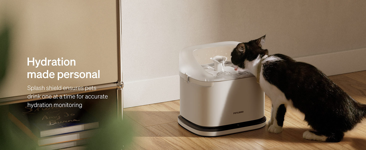 2ab86e58 1d25 490d 91d1 76e289d99fe1. CR001464600 PT0 SX1464 V1 1 1000