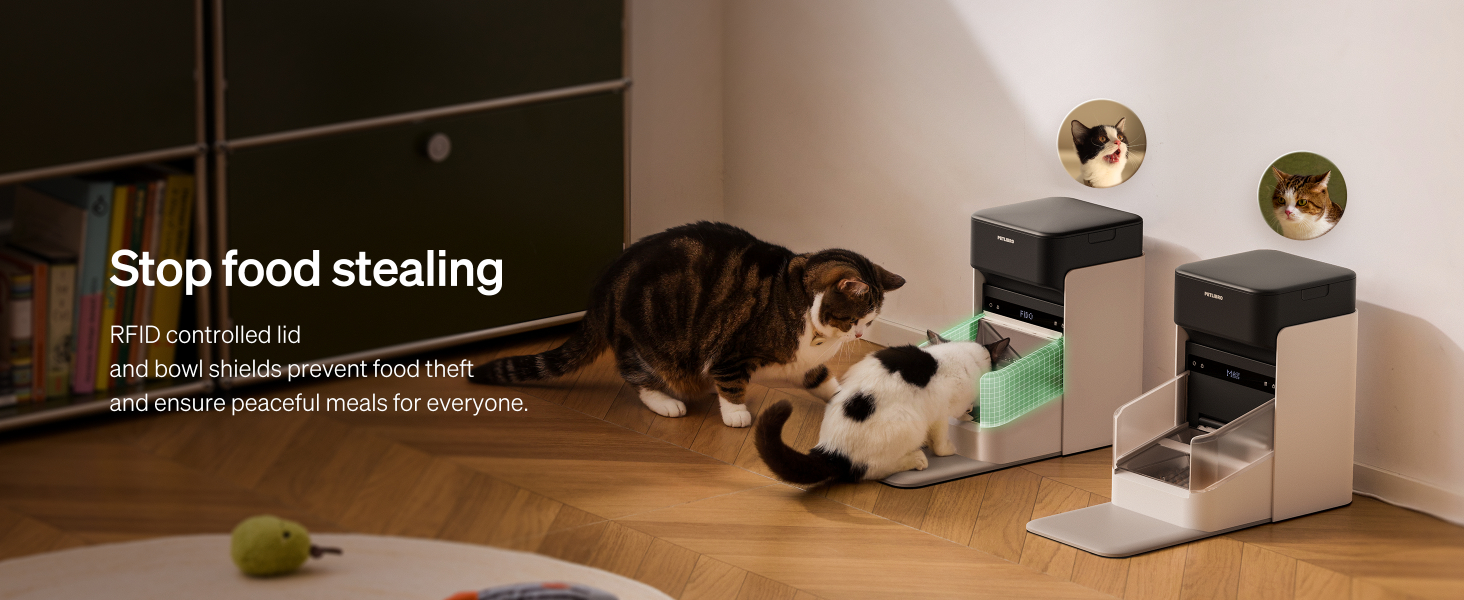 b6ff7672 d7a5 4aef b687 eaad4ccbc86c. CR001464600 PT0 SX1464 V1 1000