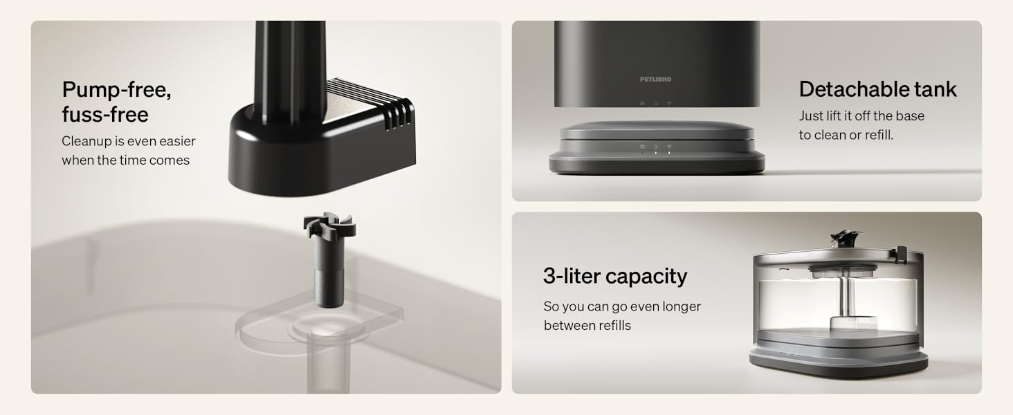 c614119b 8177 4056 b2ca 09b1e86e4d85. CR0029281200 PT0 SX1464 V1